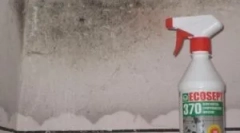 Kako odstraniti vonj kalupa in vlažnosti